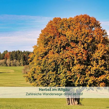 Chalet - Ferienwohnungen - Biohof Stoeger - Panoramasuedbalkon - Grandiose Aussicht Auf See, Berge Und Schloss Neuschwanstein Ріден Екстер'єр фото