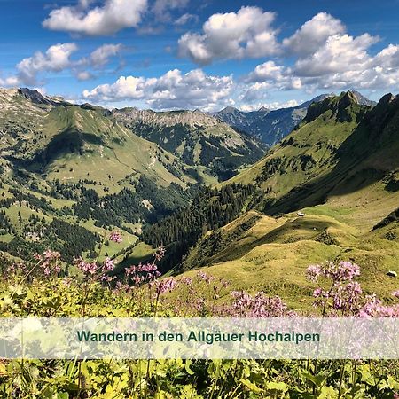 Chalet - Ferienwohnungen - Biohof Stoeger - Panoramasuedbalkon - Grandiose Aussicht Auf See, Berge Und Schloss Neuschwanstein Ріден Екстер'єр фото