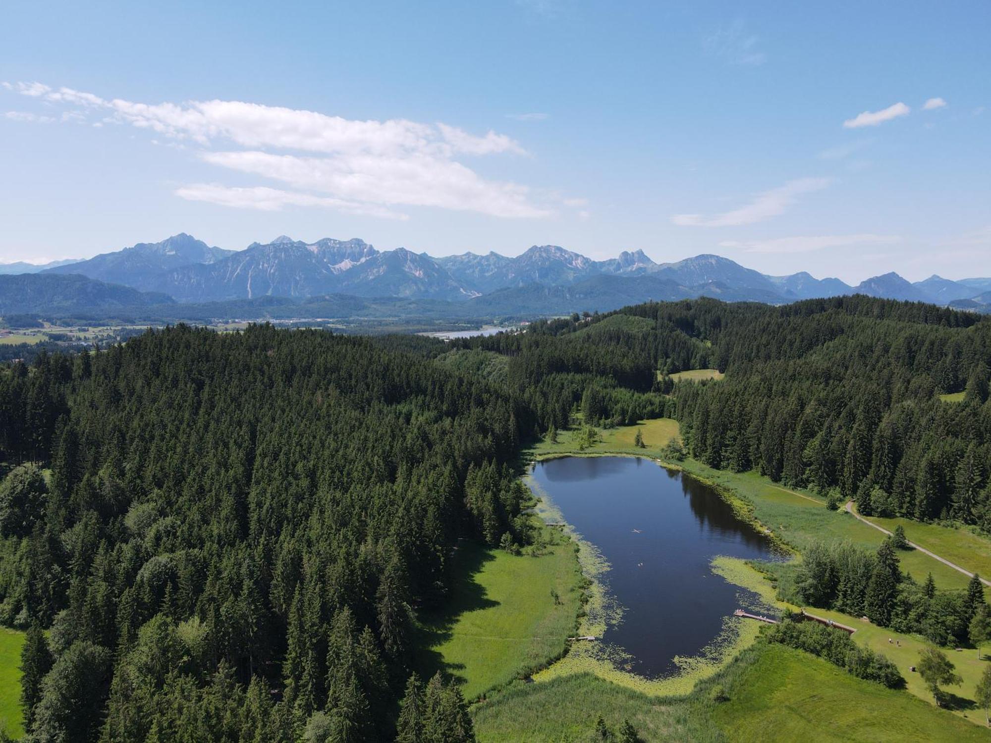 Chalet - Ferienwohnungen - Biohof Stoeger - Panoramasuedbalkon - Grandiose Aussicht Auf See, Berge Und Schloss Neuschwanstein Ріден Екстер'єр фото