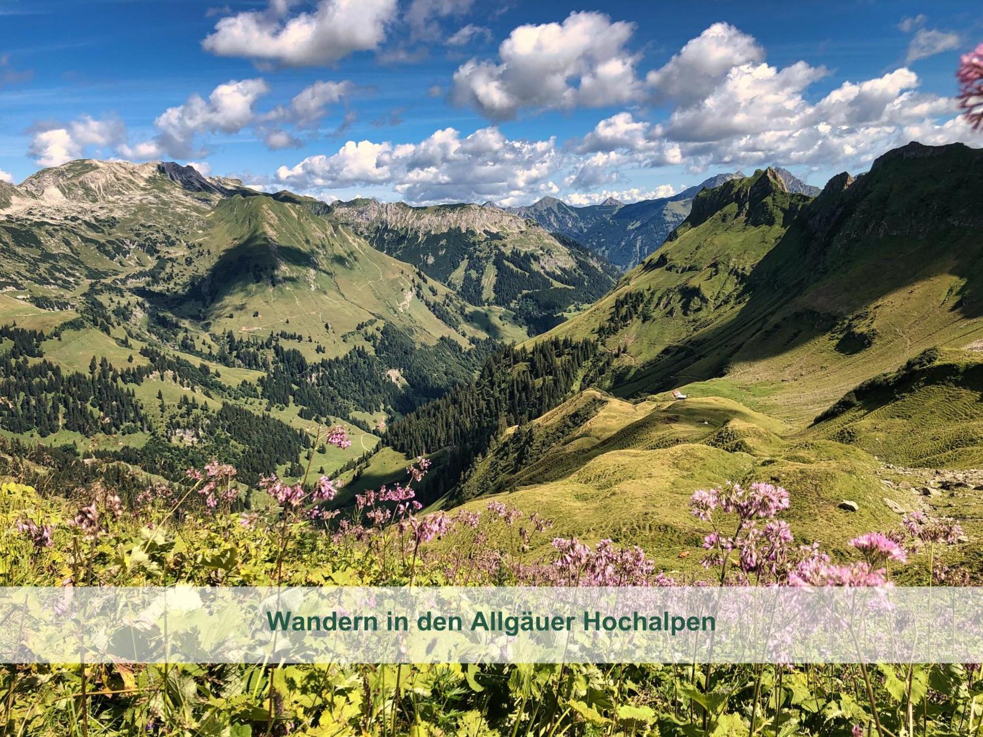 Chalet - Ferienwohnungen - Biohof Stoeger - Panoramasuedbalkon - Grandiose Aussicht Auf See, Berge Und Schloss Neuschwanstein Ріден Екстер'єр фото