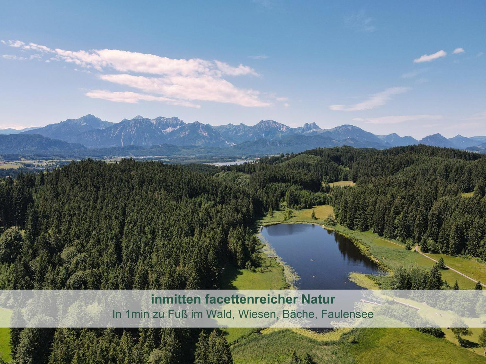 Chalet - Ferienwohnungen - Biohof Stoeger - Panoramasuedbalkon - Grandiose Aussicht Auf See, Berge Und Schloss Neuschwanstein Ріден Екстер'єр фото