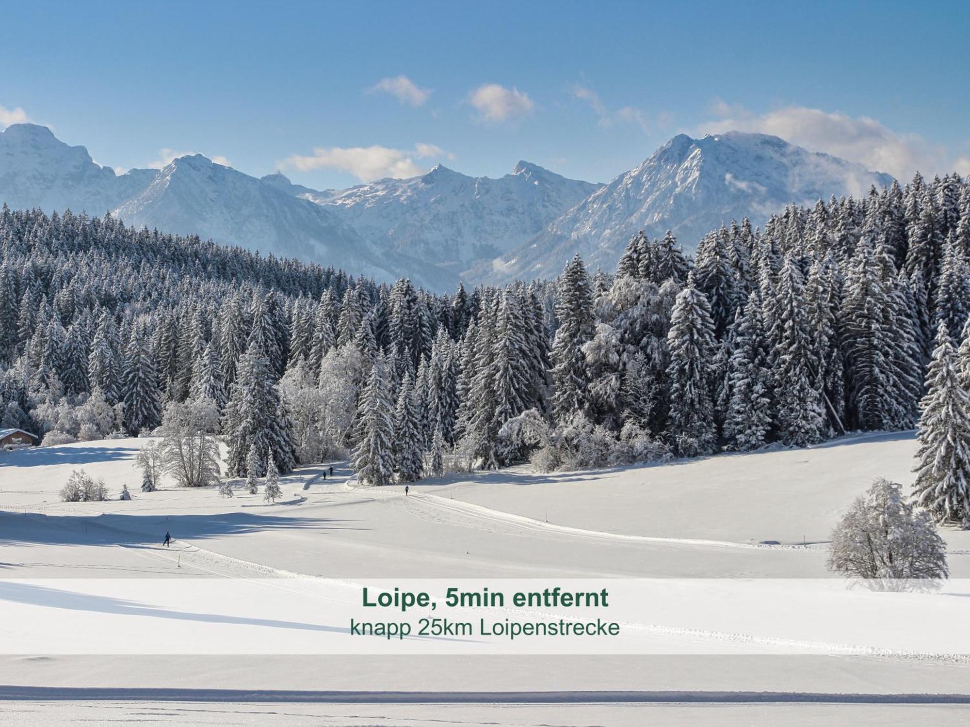 Chalet - Ferienwohnungen - Biohof Stoeger - Panoramasuedbalkon - Grandiose Aussicht Auf See, Berge Und Schloss Neuschwanstein Ріден Екстер'єр фото