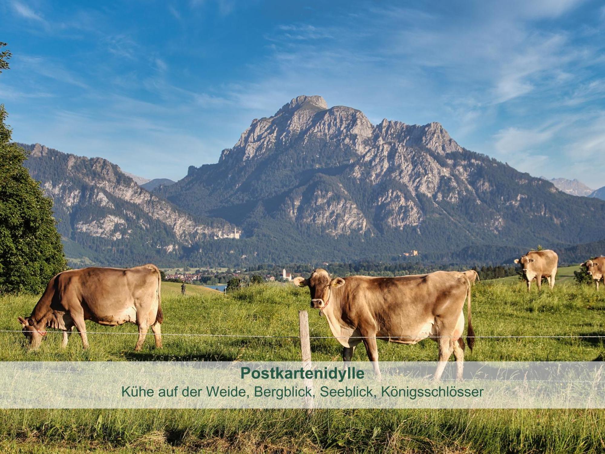 Chalet - Ferienwohnungen - Biohof Stoeger - Panoramasuedbalkon - Grandiose Aussicht Auf See, Berge Und Schloss Neuschwanstein Ріден Екстер'єр фото