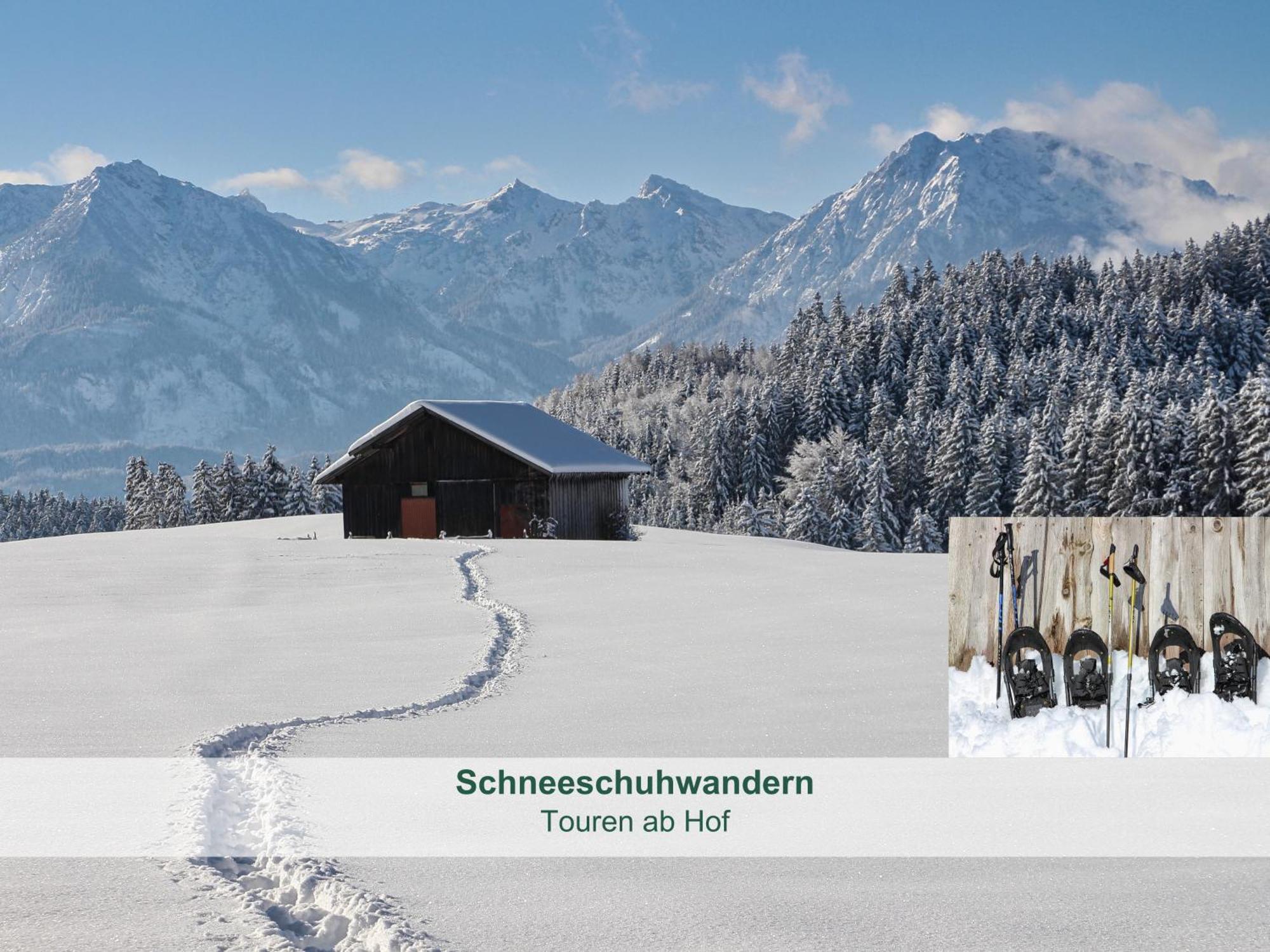 Chalet - Ferienwohnungen - Biohof Stoeger - Panoramasuedbalkon - Grandiose Aussicht Auf See, Berge Und Schloss Neuschwanstein Ріден Екстер'єр фото