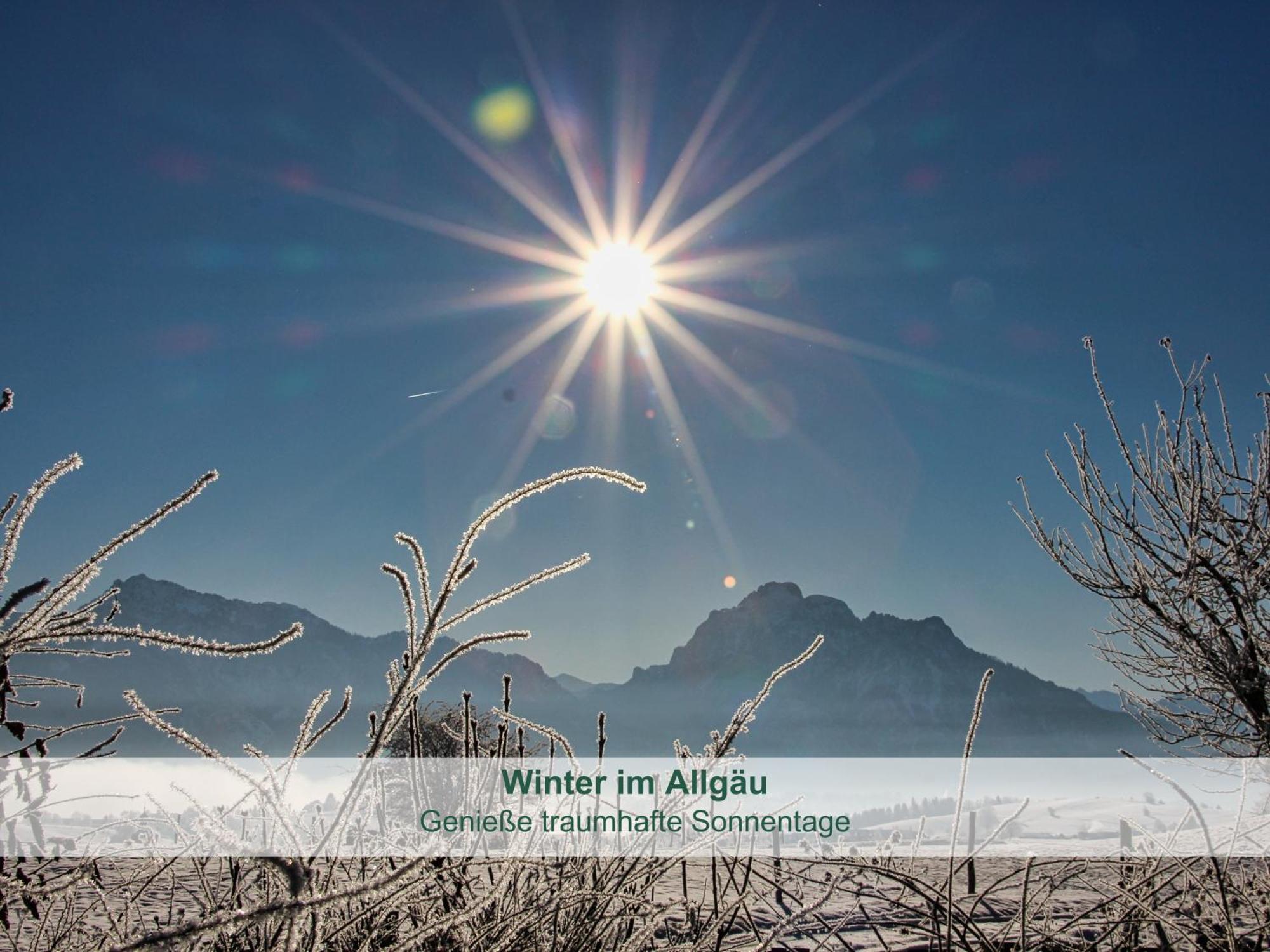 Chalet - Ferienwohnungen - Biohof Stoeger - Panoramasuedbalkon - Grandiose Aussicht Auf See, Berge Und Schloss Neuschwanstein Ріден Екстер'єр фото