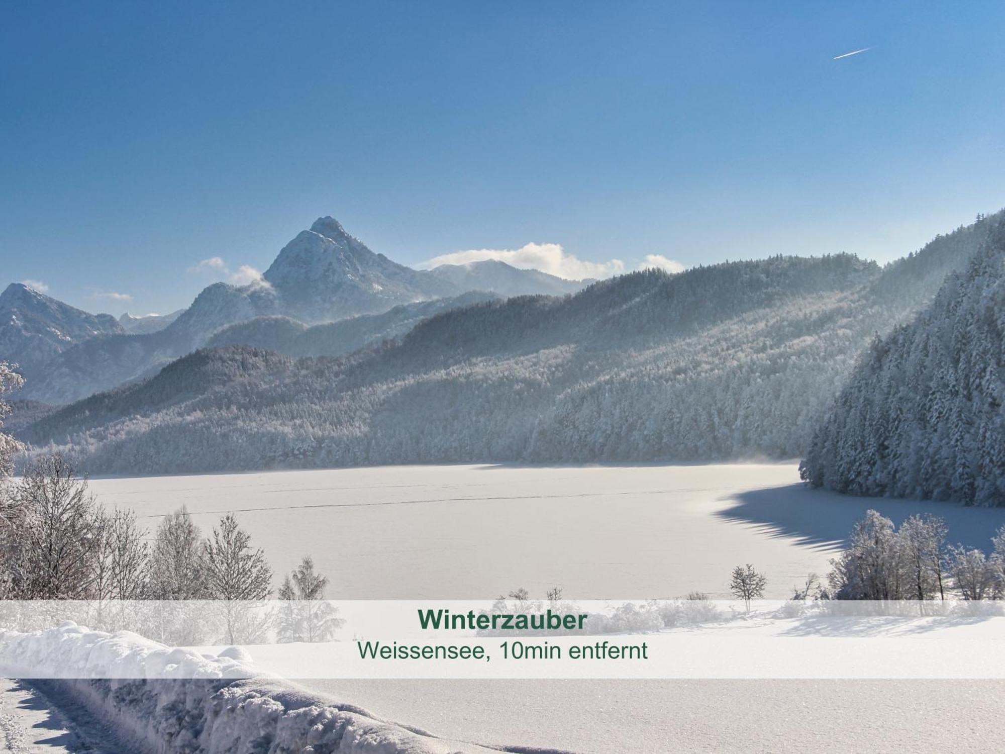 Chalet - Ferienwohnungen - Biohof Stoeger - Panoramasuedbalkon - Grandiose Aussicht Auf See, Berge Und Schloss Neuschwanstein Ріден Екстер'єр фото