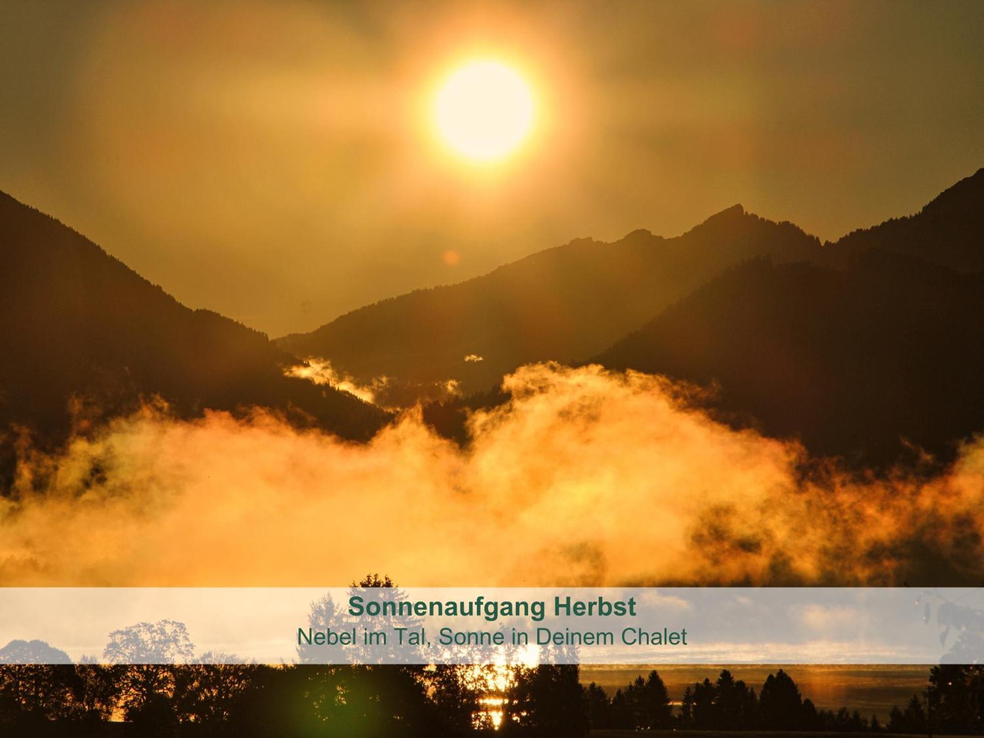 Chalet - Ferienwohnungen - Biohof Stoeger - Panoramasuedbalkon - Grandiose Aussicht Auf See, Berge Und Schloss Neuschwanstein Ріден Екстер'єр фото