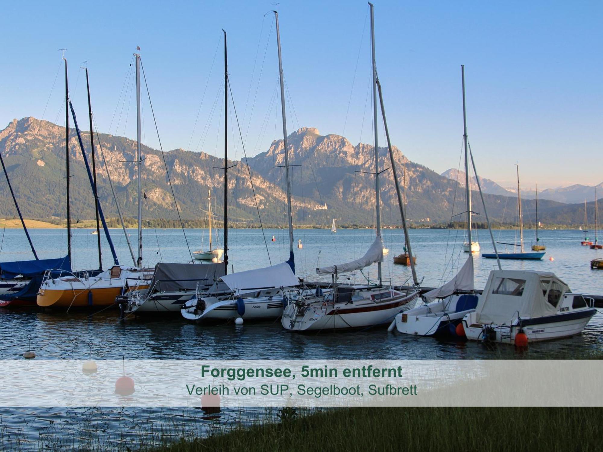 Chalet - Ferienwohnungen - Biohof Stoeger - Panoramasuedbalkon - Grandiose Aussicht Auf See, Berge Und Schloss Neuschwanstein Ріден Екстер'єр фото